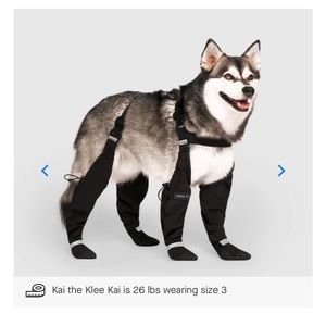 Dog suspender boots